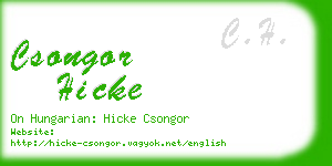 csongor hicke business card